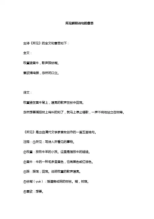 所见解释诗句的意思