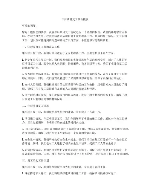 年后项目复工报告模板