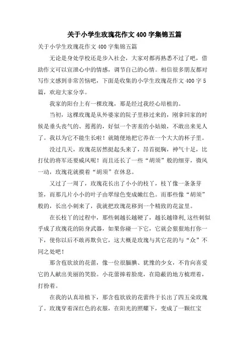 关于小学生玫瑰花作文400字集锦五篇