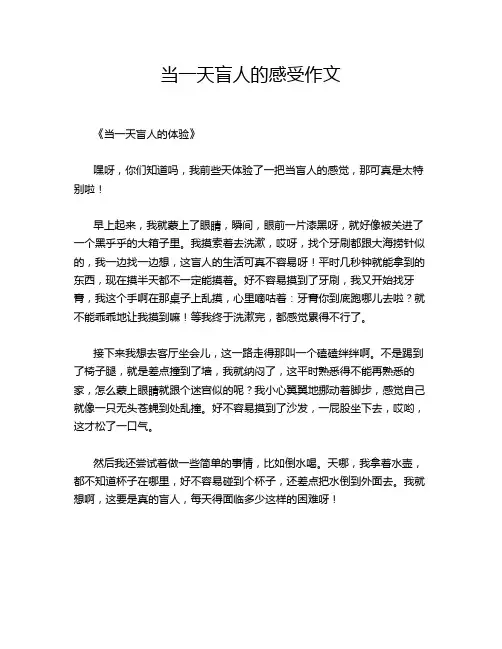 当一天盲人的感受作文