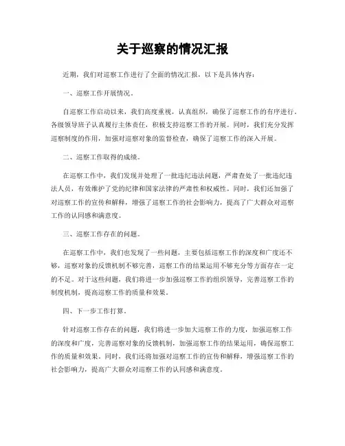 关于巡察的情况汇报