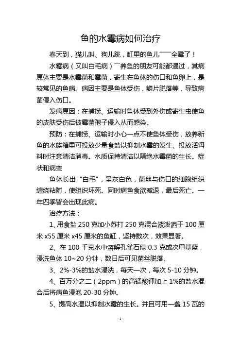 鱼的水霉病如何治疗