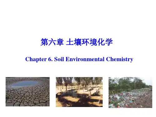 中国农业大学_807环境化学与环境监测_《环境化学》课件_第六章_土壤环境化学