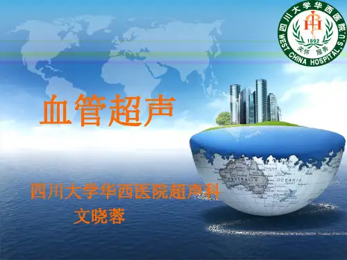 血管超声课件