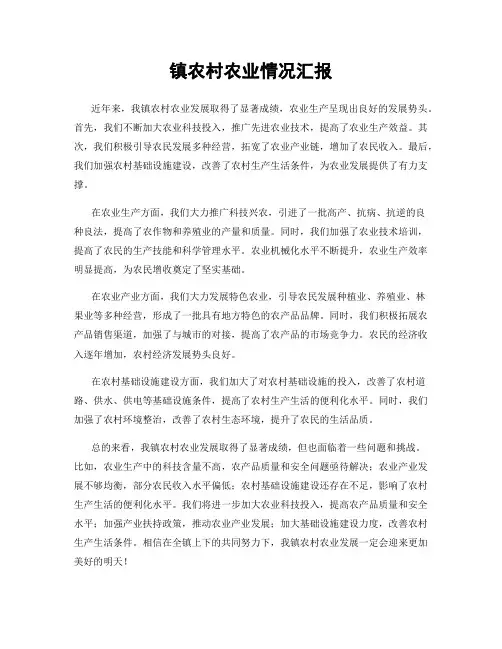 镇农村农业情况汇报