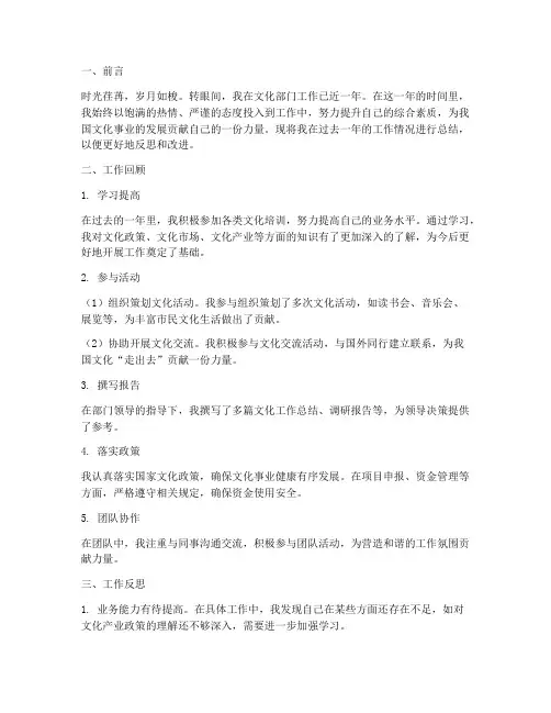 文化个人工作总结范文