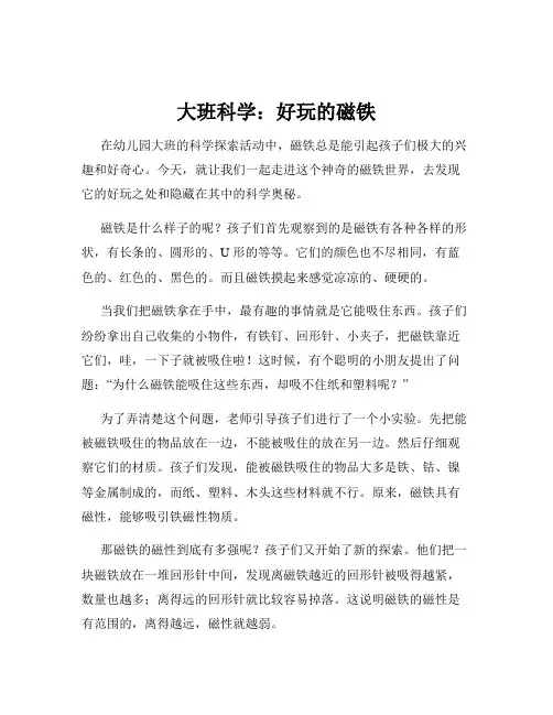 大班科学：好玩的磁铁