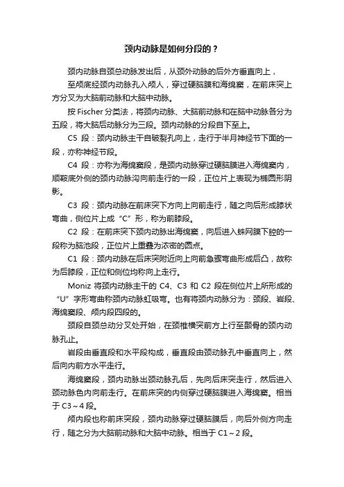 颈内动脉是如何分段的？