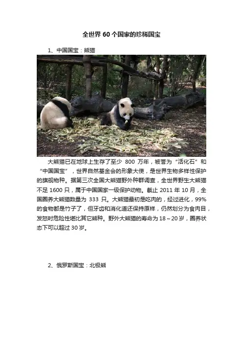 全世界60个国家的珍稀国宝