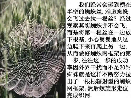 磨砺坚强意志PPT