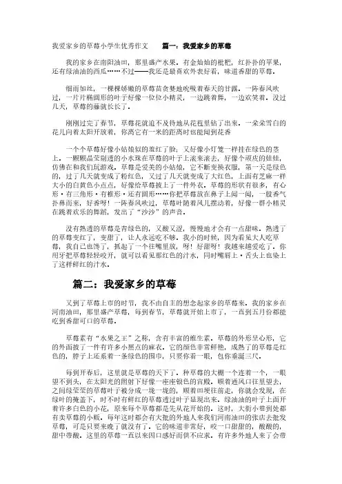 我爱家乡的草莓小学生优秀作文