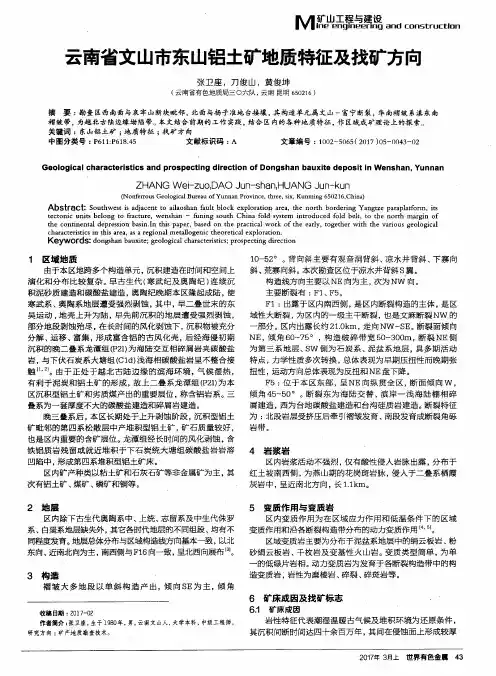 云南省文山市东山铝土矿地质特征及找矿方向