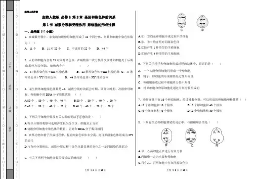 人教版必修二 减数分裂和受精作用作业