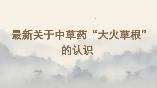 最新关于中草药“大火草根”的认识