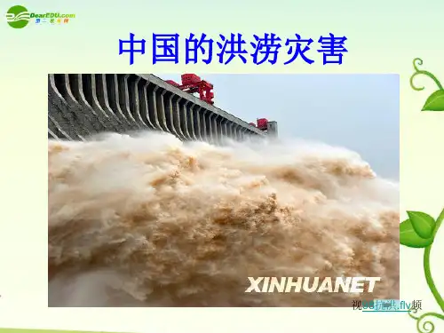 高中地理_中国的洪涝灾害及成因分析课件