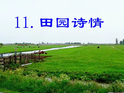 苏教版四年级语文上册11田园诗情精品课件