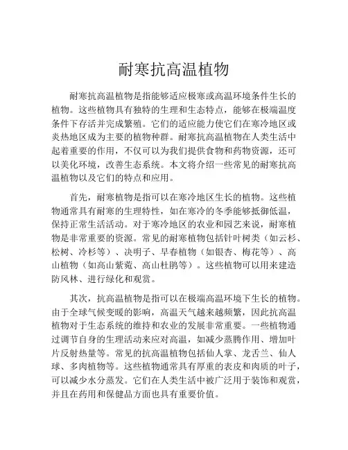耐寒抗高温植物