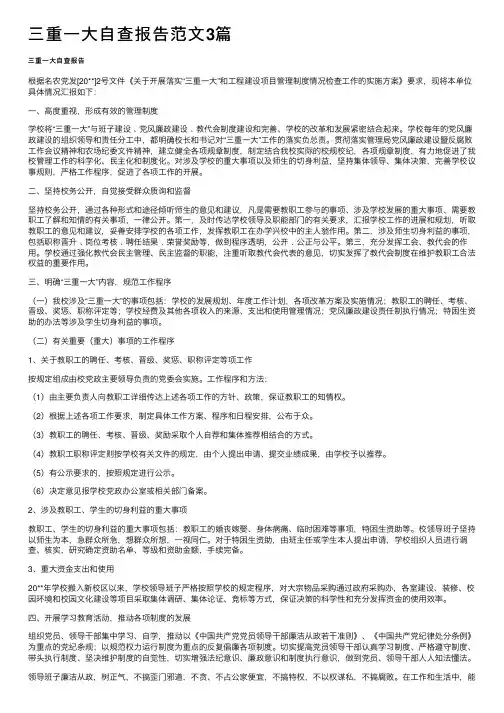三重一大自查报告范文3篇