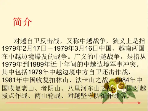 对越自卫反击战共37页