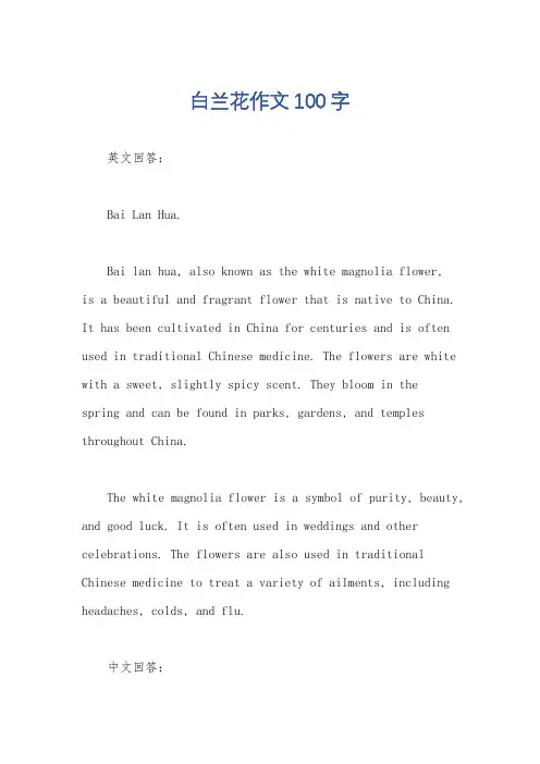 白兰花作文100字