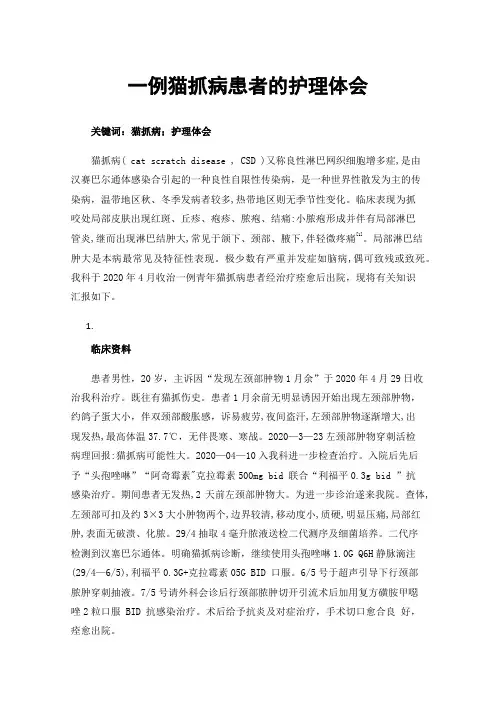 一例猫抓病患者的护理体会