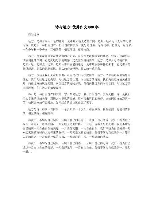 诗与远方_优秀作文800字