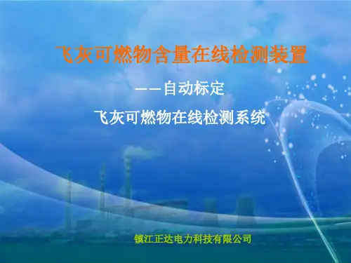 飞灰测碳技术简介(正达电力1412)