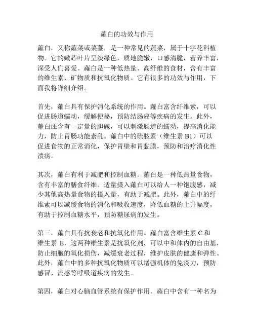 蕹白的功效与作用
