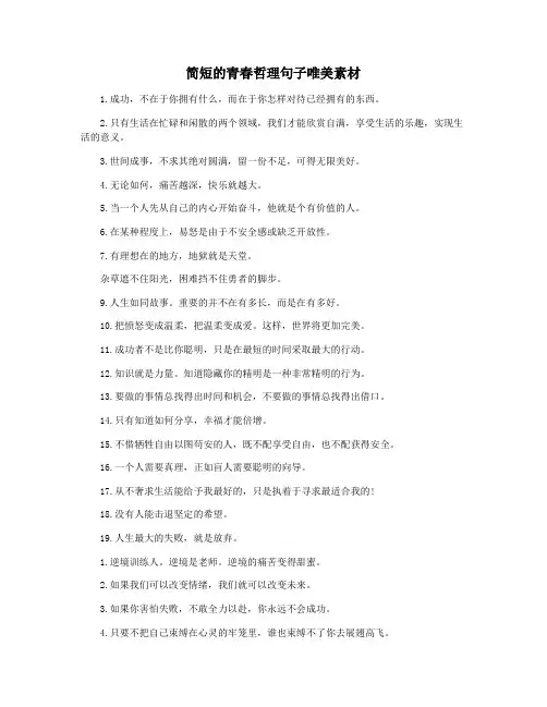 简短的青春哲理句子唯美素材