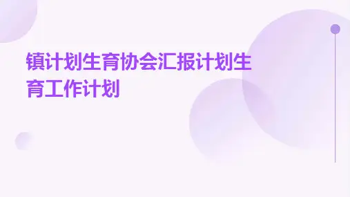 镇计划生育协会汇报计划生育工作计划PPT