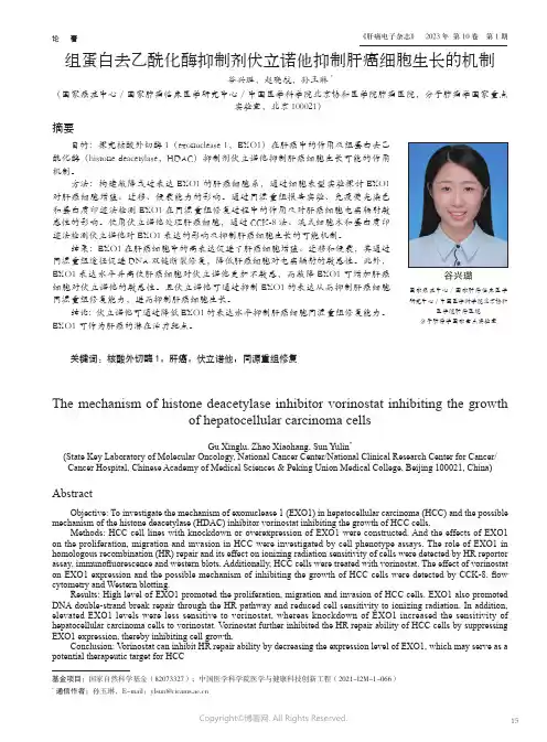 211111088_组蛋白去乙酰化酶抑制剂伏立诺他抑制肝癌细胞生长的机制
