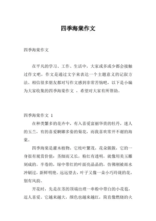 四季海棠作文