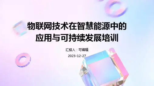 物联网技术在智慧能源中的应用与可持续发展培训ppt