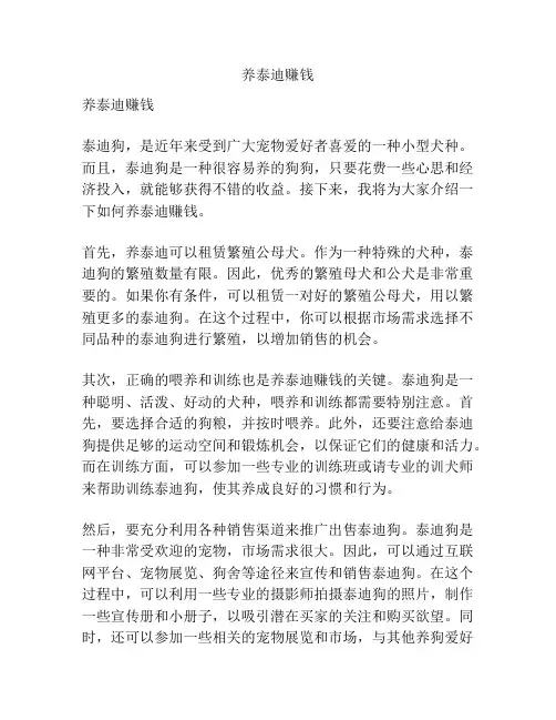养泰迪赚钱