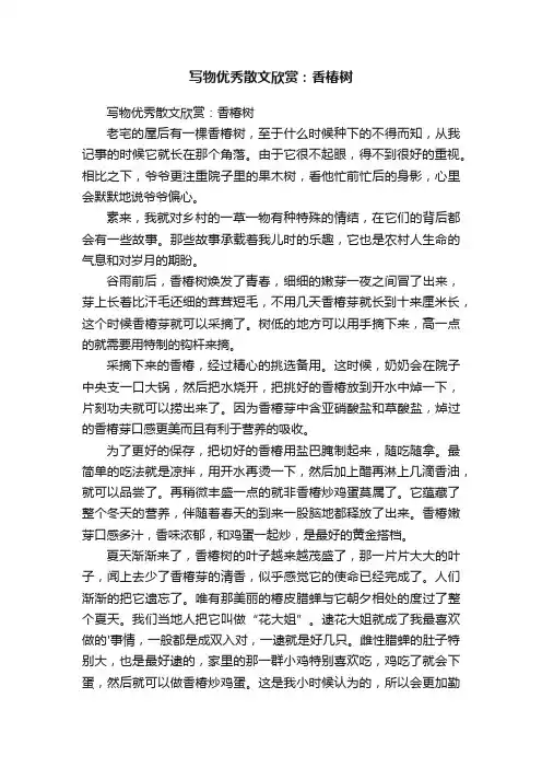 写物优秀散文欣赏：香椿树