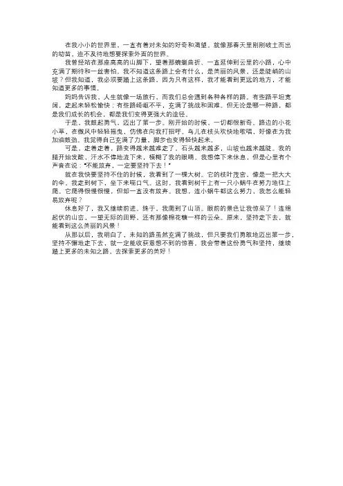 我踏上的未知之路