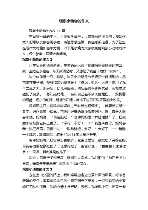 观察小动物的作文14篇