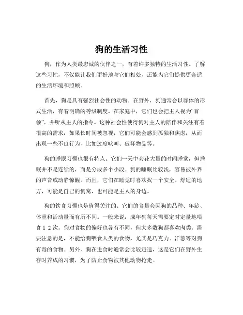 狗的生活习性