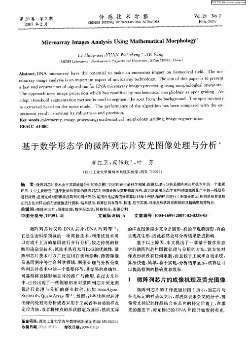 基于数学形态学的微阵列芯片荧光图像处理与分析