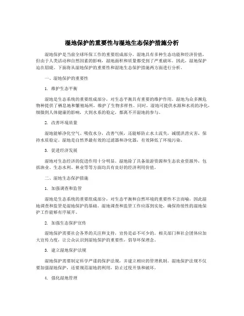 湿地保护的重要性与湿地生态保护措施分析
