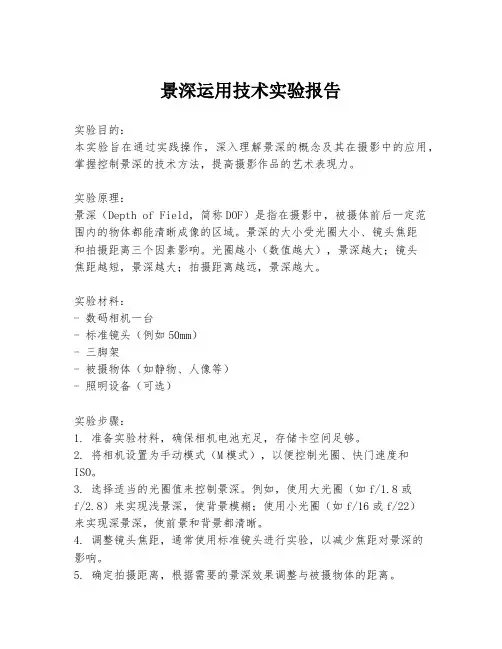 景深运用技术实验报告