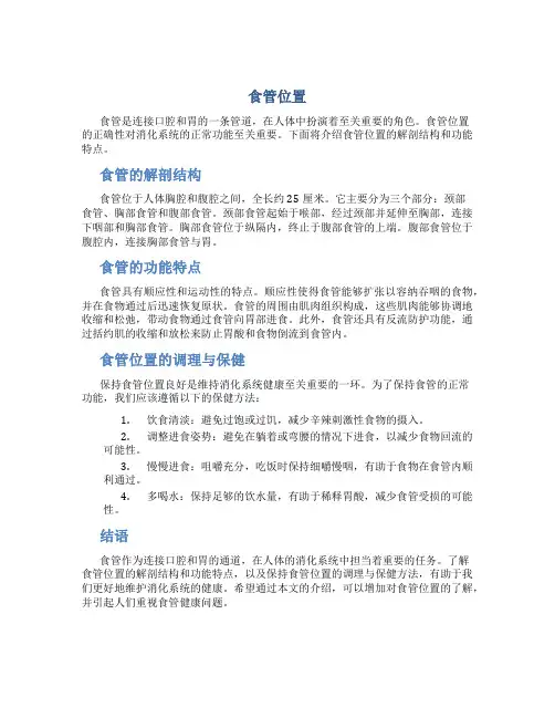 食管位置资料