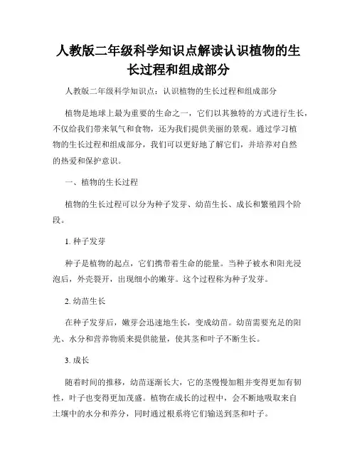 人教版二年级科学知识点解读认识植物的生长过程和组成部分
