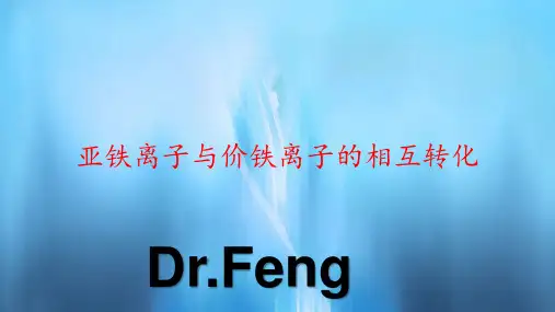 亚铁离子与价铁离子的相互转化(课件)