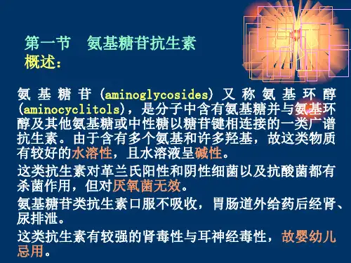最新微生物制药其他抗生素PPT课件