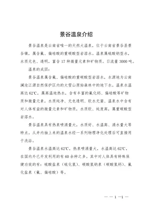 景谷温泉介绍