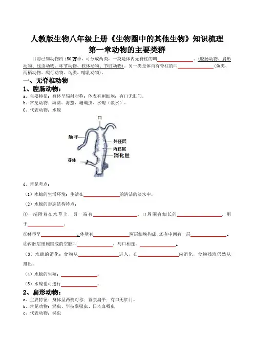 第一章 动物的主要类群【必背知识】2022-2023学年八年级生物章节知识清单(人教版 )