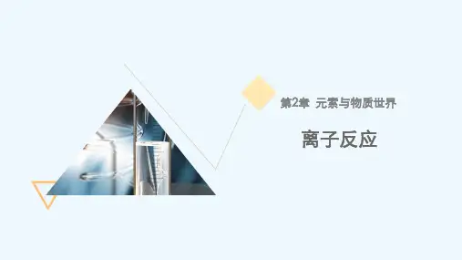 2.2 课时2 离子反应 课件 (共19张PPT)年高一化学鲁科版(2019)必修第一册