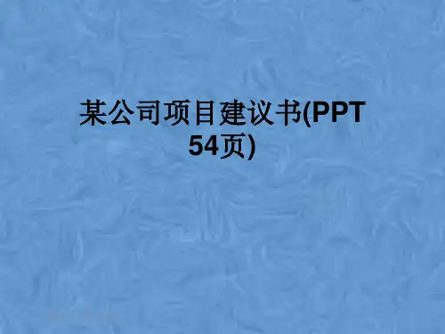 某公司项目建议书(PPT 54页)