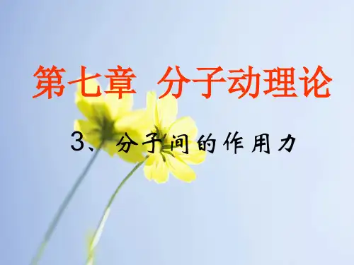 分子间的作用力PPT教学课件